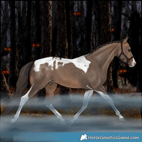Horse Color:Bay Dun Splash Tobiano Appaloosa Rabicano 