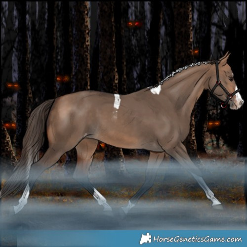 Horse Color:Bay Dun Splash Tobiano Appaloosa Rabicano 
