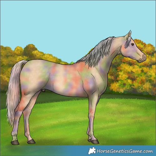 Horse Color:Nacre Palomino Dun