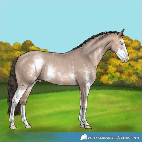 Horse Color:Amber Champagne Ice Sabino 