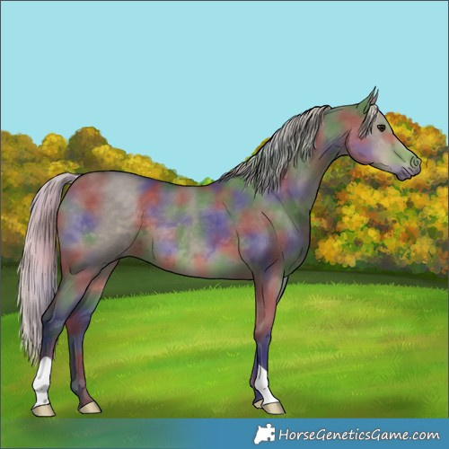 Horse Color:Nacre Silver Smoky Grullo