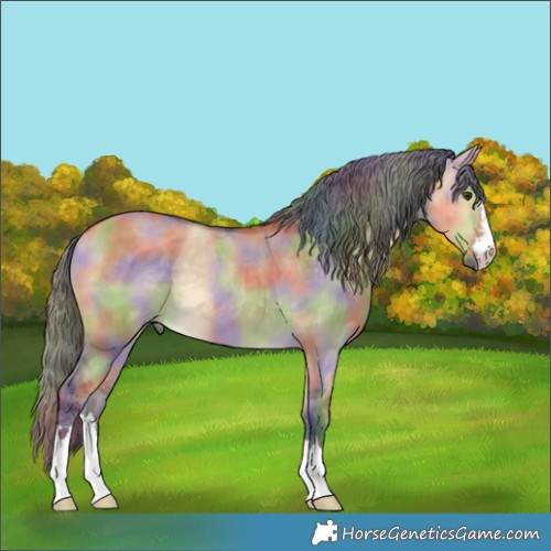 Horse Color:Nacre Buckskin Dun Merle