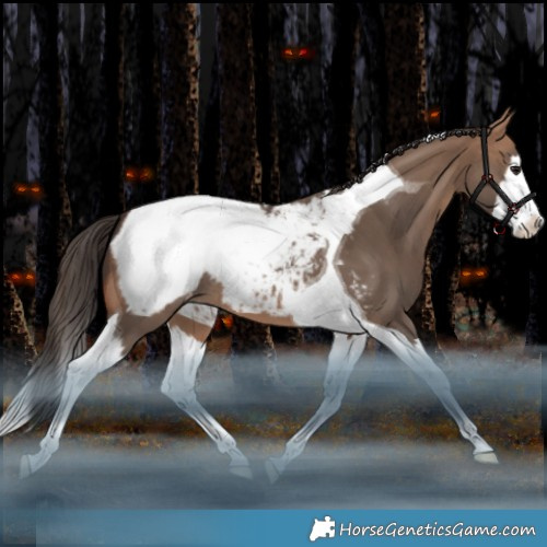Horse Color:Bay Dun Splash Tobiano Appaloosa Rabicano 