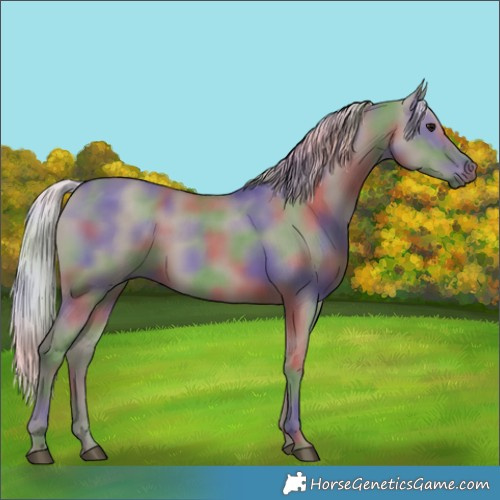 Horse Color:Nacre Silver Grullo