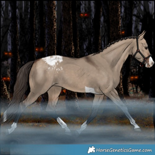 Horse Color:Bay Dun Splash Tobiano Appaloosa Rabicano 