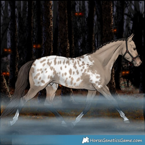 Horse Color:Brown Dun Tobiano Appaloosa Rabicano 