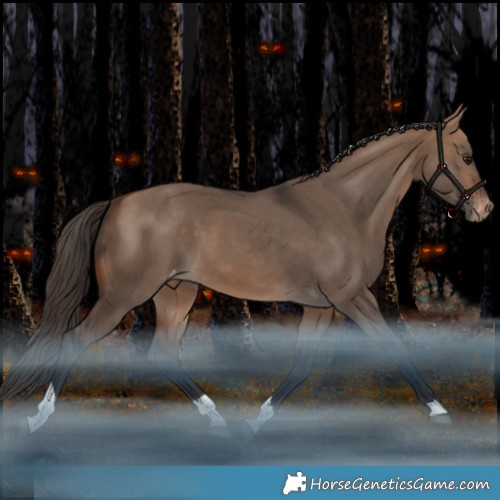 Horse Color:Bay Dun Tobiano Appaloosa Rabicano
