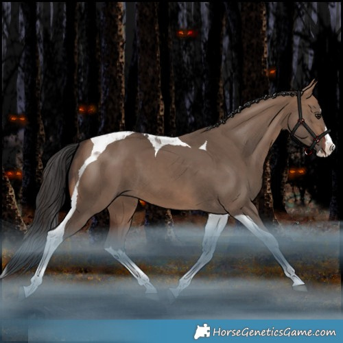 Horse Color:Brown Dun Splash Tobiano Rabicano 