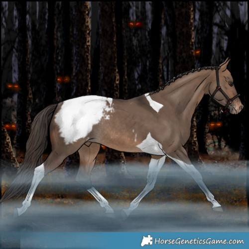 Horse Color:Brown Dun Tobiano Appaloosa Rabicano 