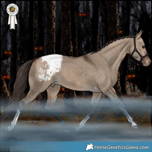 Horse Color:Bay Dun Tobiano Appaloosa Rabicano 