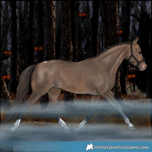 Horse Color:Brown Dun Tobiano Appaloosa Rabicano
