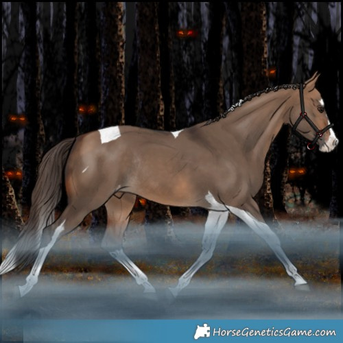Horse Color:Bay Dun Splash Tobiano Appaloosa Rabicano 
