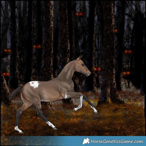 Horse Color:Bay Dun Tobiano Appaloosa Rabicano 