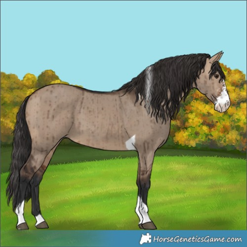 Horse Color:Bay Dun Sabino Tobiano Brindle