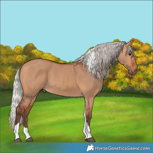 Horse Color:Silver Bay Dun Tobiano 