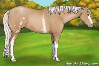 Horse Color:White Spotted Silver Bay Pearl