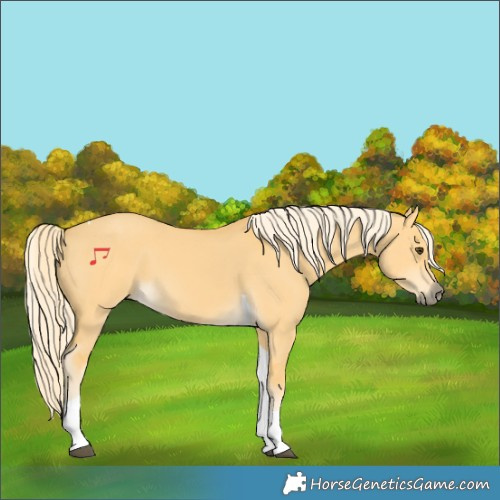 Horse Color:Palomino Dun Tobiano 