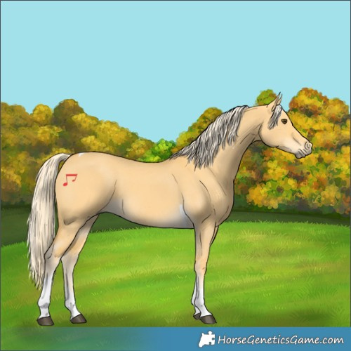Horse Color:Palomino Dun Tobiano