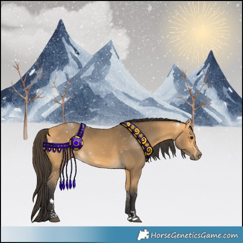 Horse Color:Buckskin 