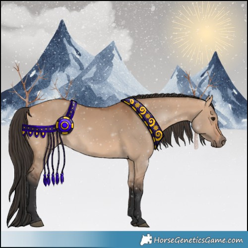 Horse Color:Bay Dun