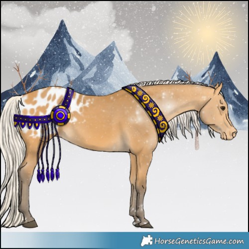 Horse Color:Silver Buckskin Blanket 