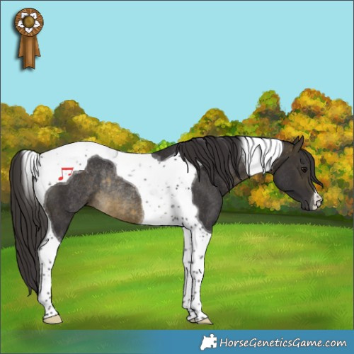 Horse Color:Buckskin Tobiano Rabicano