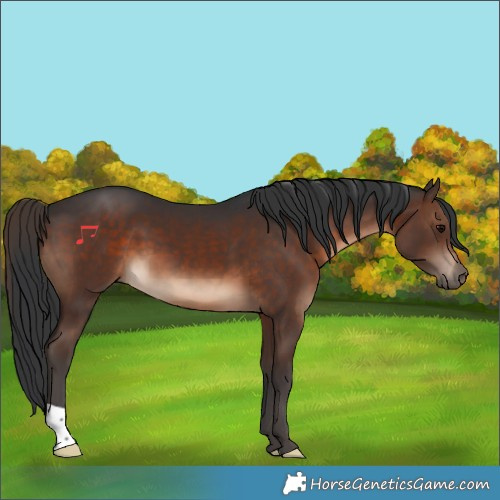 Horse Color:Brown 