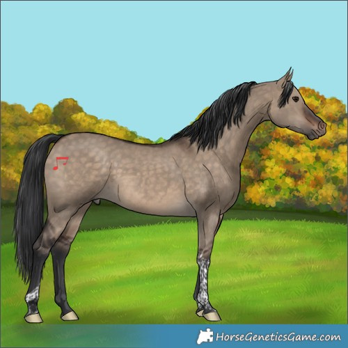 Horse Color:Brown Dun Tobiano Rabicano 