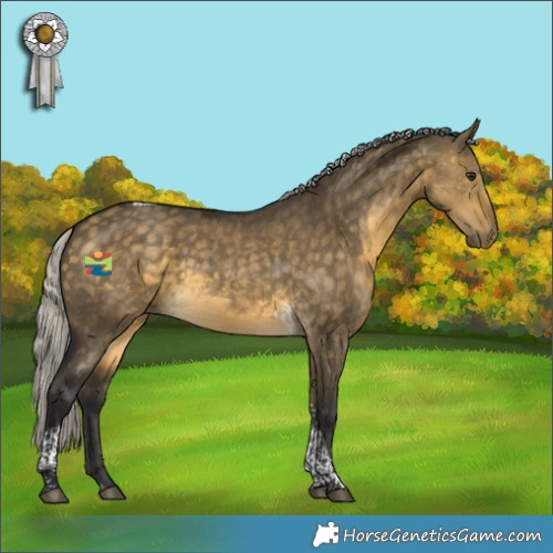 Horse Color:Silver Buckskin Dun Tobiano Rabicano