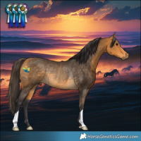 Horse Color:Buckskin Rabicano