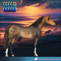 Horse Color:Buckskin Rabicano 
