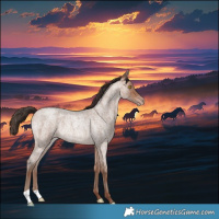 Horse Color:Sable Champagne Roan Rabicano