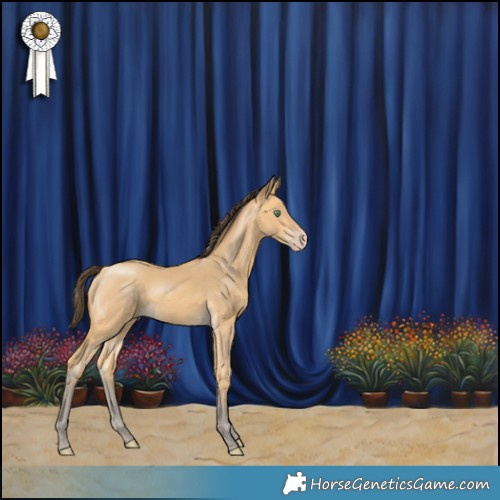 Horse Color:Amber Cream Champagne 