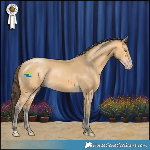 Horse Color:Amber Cream Champagne