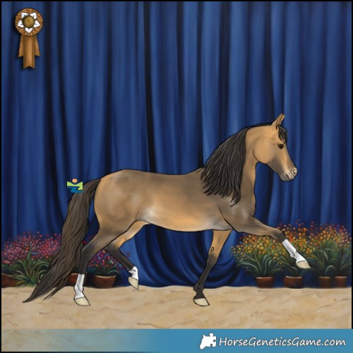 Horse Color:Buckskin