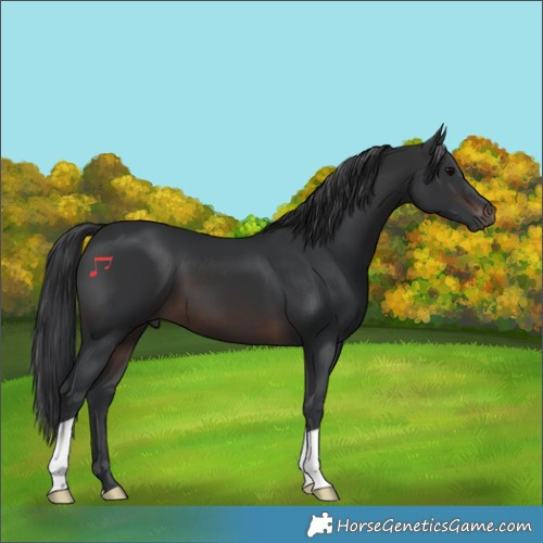 Horse Color:Brown 