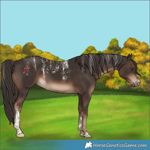 Horse Color:Powder White Liver Chestnut 