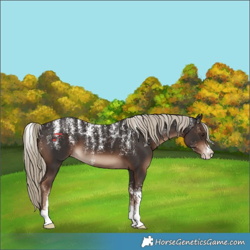 Horse Color:Powder White Liver Chestnut Varnish