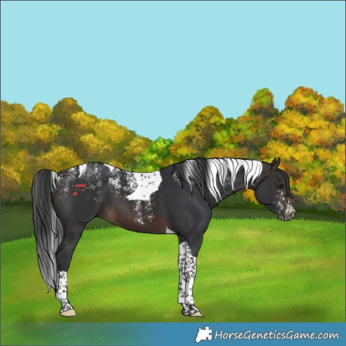 Horse Color:Powder White Brown Tobiano
