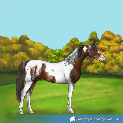 Horse Color:Powder White Liver Chestnut Tobiano 