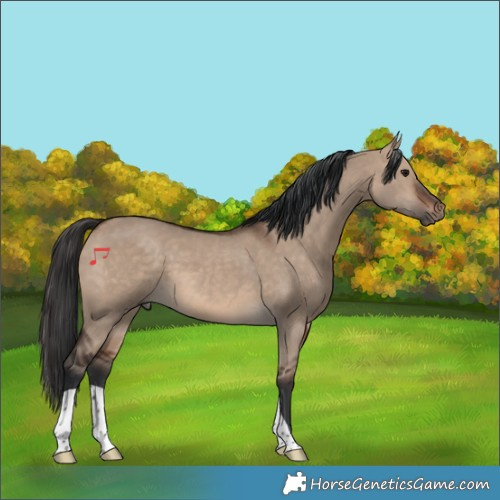 Horse Color:Brown Dun