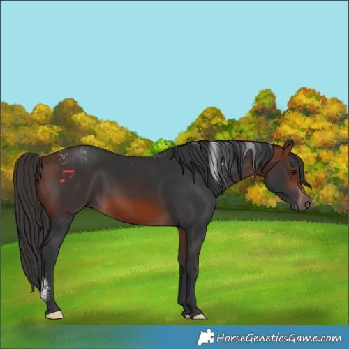 Horse Color:Powder White Bay 
