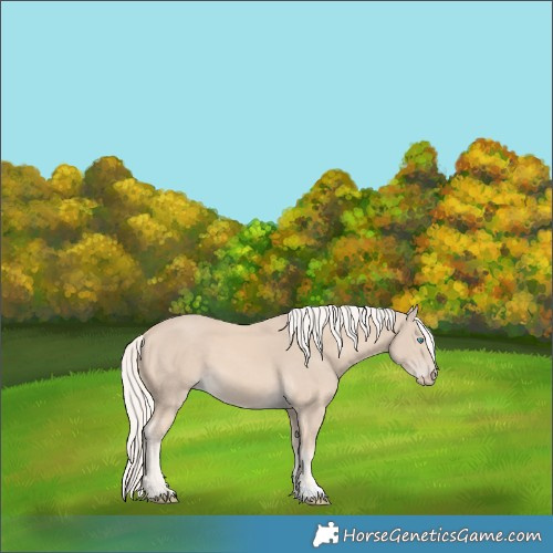 Horse Color:Cremello 