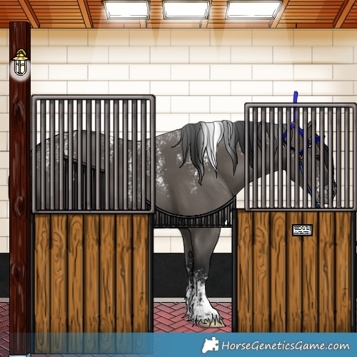 Horse Color:Powder White Gray Grullo 