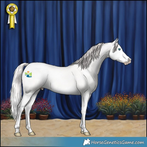 Horse Color:Perlino Splash