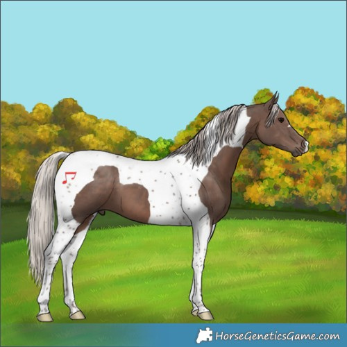 Horse Color:Silver Black Tobiano 