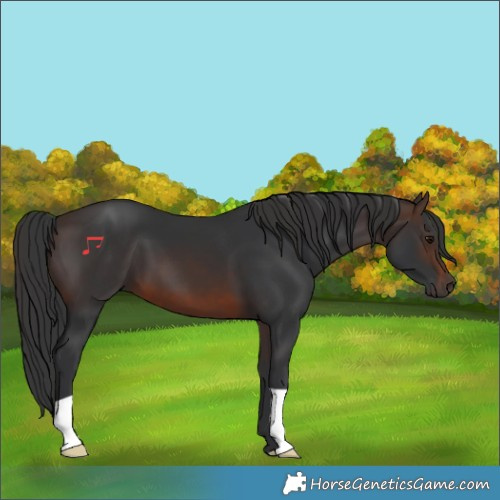 Horse Color:Brown 