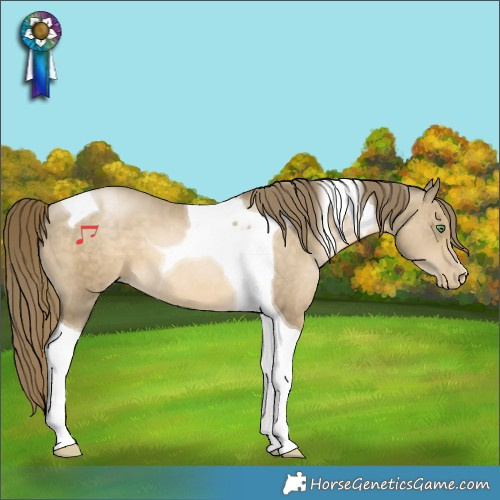 Horse Color:Smoky Black Pearl Tobiano