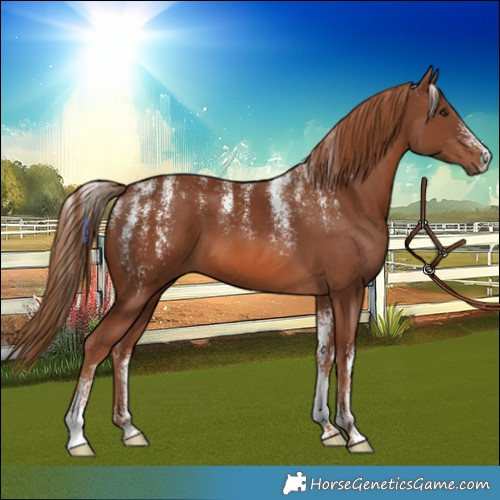 Horse Color:Powder White Chestnut