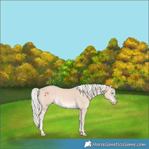 Horse Color:Cremello